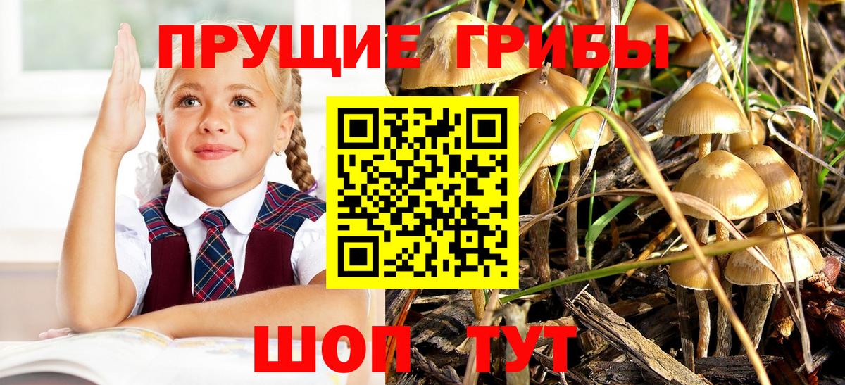 Галлюциногенные грибы MAGIC MUSHROOMS Ачхой-Мартан