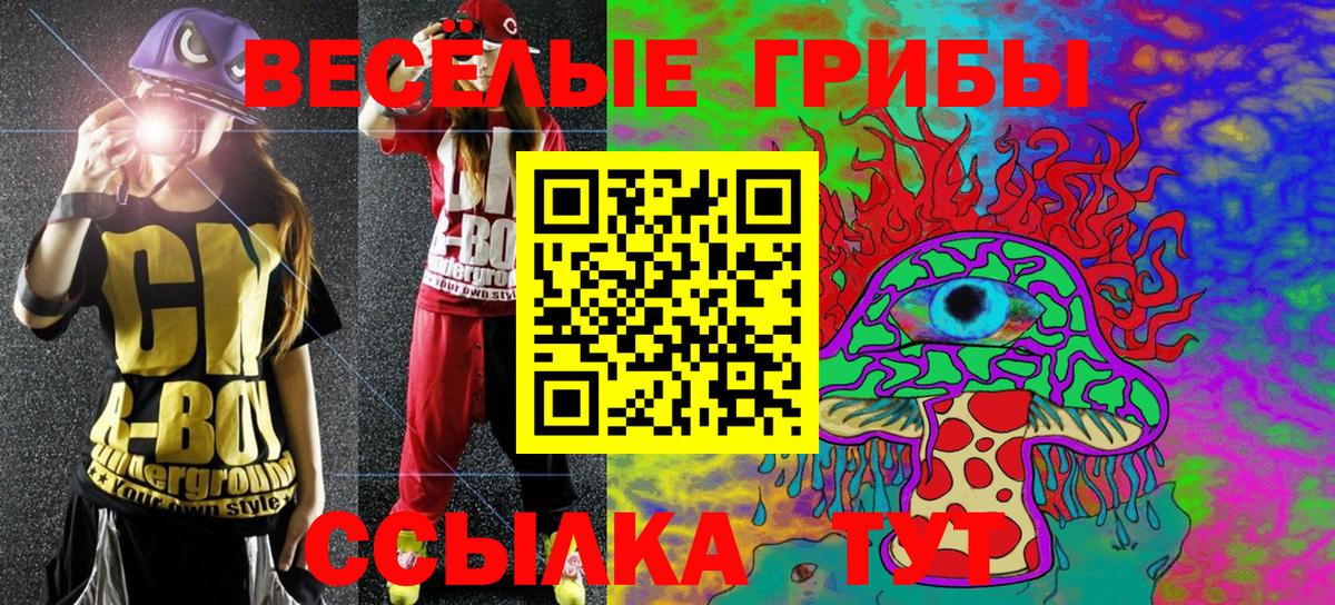 Ачхой-Мартан  Галлюциногенные грибы GOLDEN TEACHER  Псилоцибиновые грибы MAGIC MUSHROOMS  Вход с VPN 